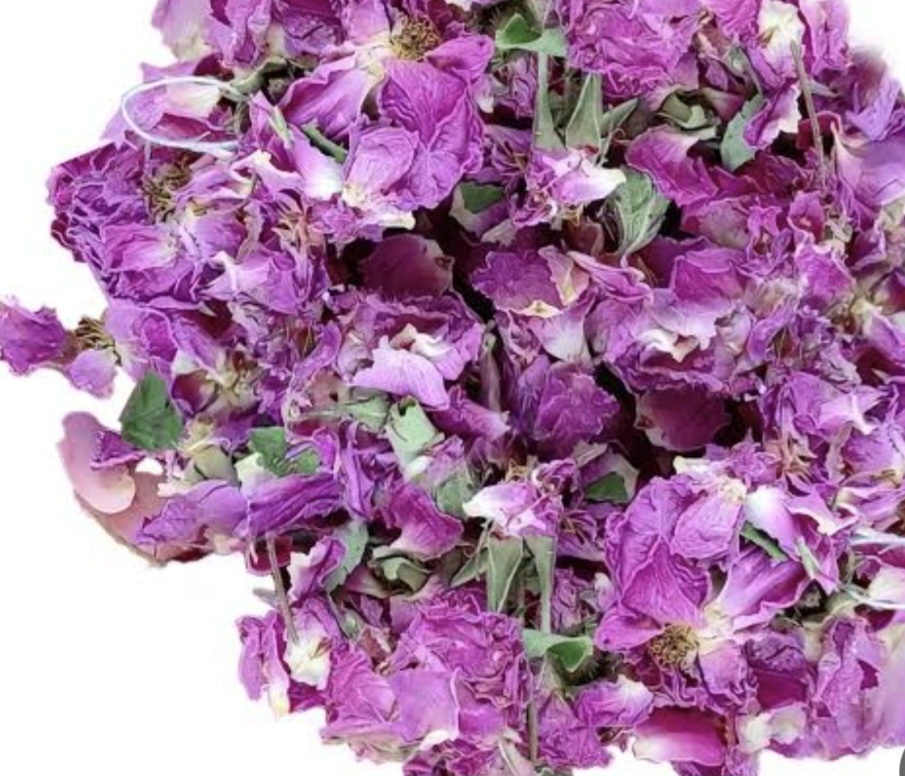 گل محمدی